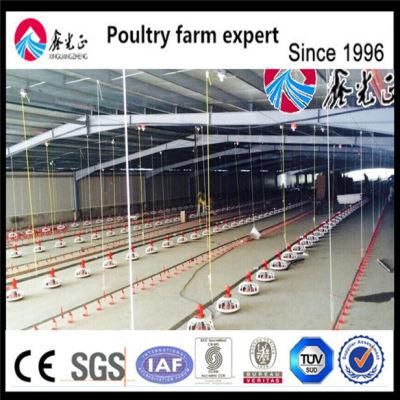 Automatic Broiler Poultry Farm Equipment with Ce Certificate