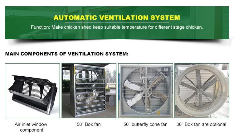 Environment Controlled Complete Poultry Farm Equipment for Broiler Chicken and Breeder House