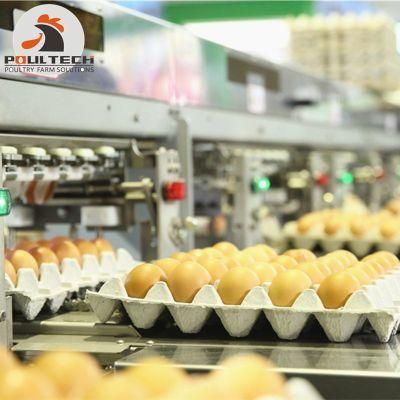 Automatic Chicken Egg Packing &amp; Grading Machine with 30000 Eggs/Hour