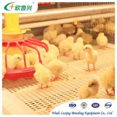 H Type Chicken Feeding Cages for Broiler Layer Duck Poultry Quail Birds Feeding Equipment System Automatic Drinking