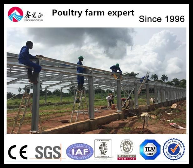 Poultry Farm Use Egg Laying Chicken Cage