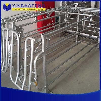 Sale Hot DIP Galvanizing Pig Gestation Stall Pen Crates Sow Cage for Sale