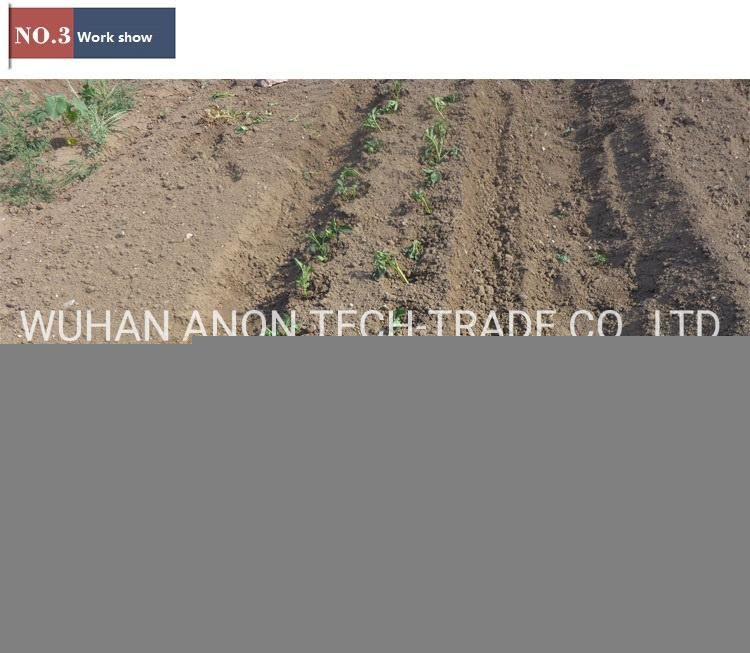 Anon Vegetable and Fruit Seedling Transfer Farm Transplant Equipment