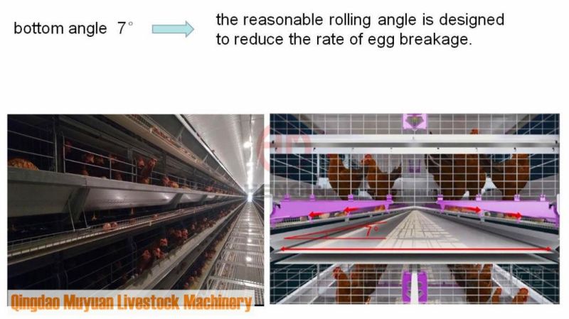 Automatic Hot-Galvanized Multi-Tier H Frame Battery Poultry Farm/Farming Equipment for Chicken Layer Hen Cage