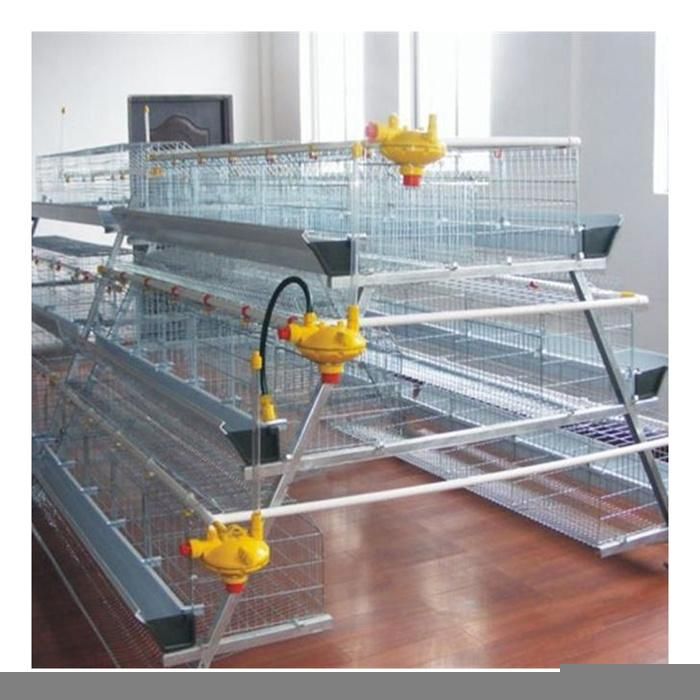 Chicken Layer Battery Cage for Layer Chicken Popular in Africa Market