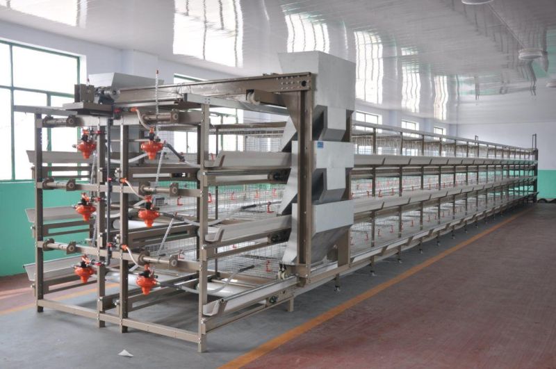 Automatic Poultry Chicken Bird Cages for Layer Broiler