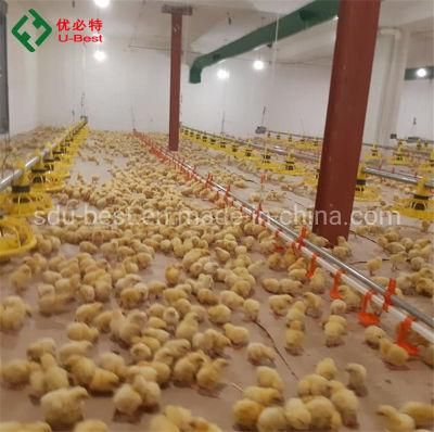 Broiler Farm House and Equipment