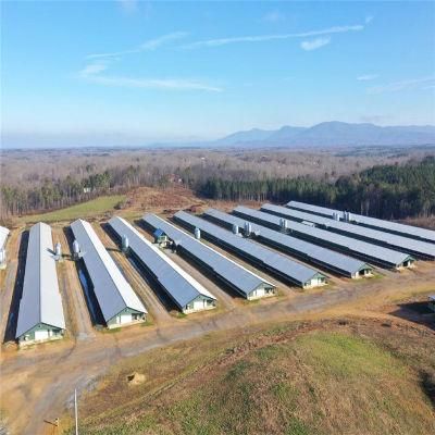 Agricultural Easily Installation Prefab Automatic Chicken Coop with Certificates