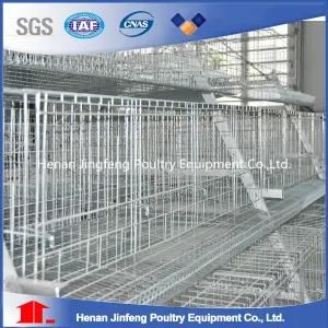 Automatic Chicken Layer Cage/Chicken Egg Poultry Farm Equipment