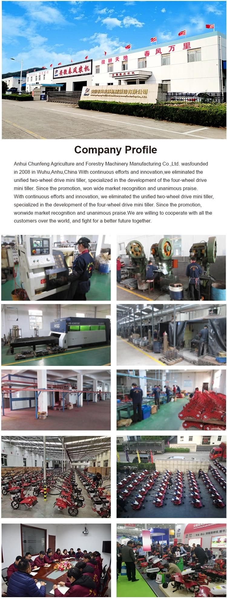 Chinese Farm Equipment Efficient Trenching Mini Tiller