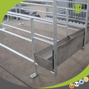 Pig Equipment Hot DIP Galvanized Pig Gestation Stall Individual Stall