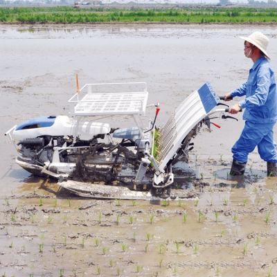 Dfiseki 4 Row/6 Row Manual Rice Planter Paddy Transplanter