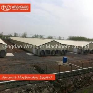 Steel Poultry Shed/ Automatic Poultry Farm Equipment