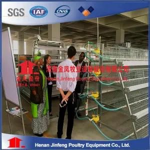 Environmental Chicken Farm Designed Cage Equipments for Africa