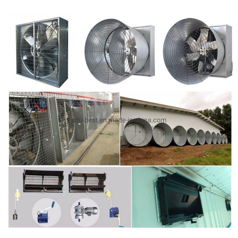 Complete Automatic Poultry Chicken House Equipment for Broiler Farming System
