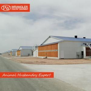 Complete Poultry Project Engineering/Poultry Equipment
