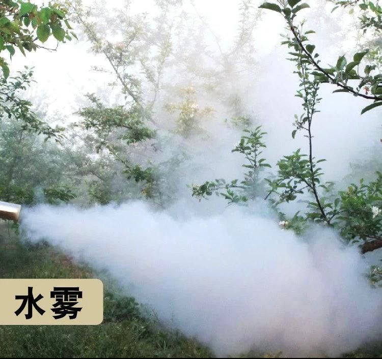 China Portable Outdoor Handheld Water Mist Fog Machine for Gardens Mist Disinfect