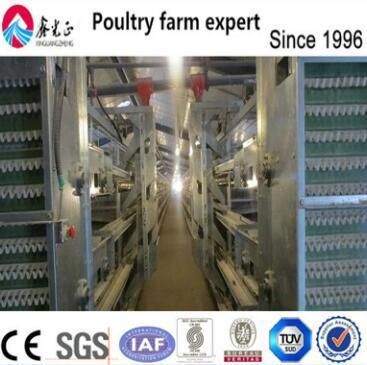 Steel Structure Chicken House with H Type Layer Cage