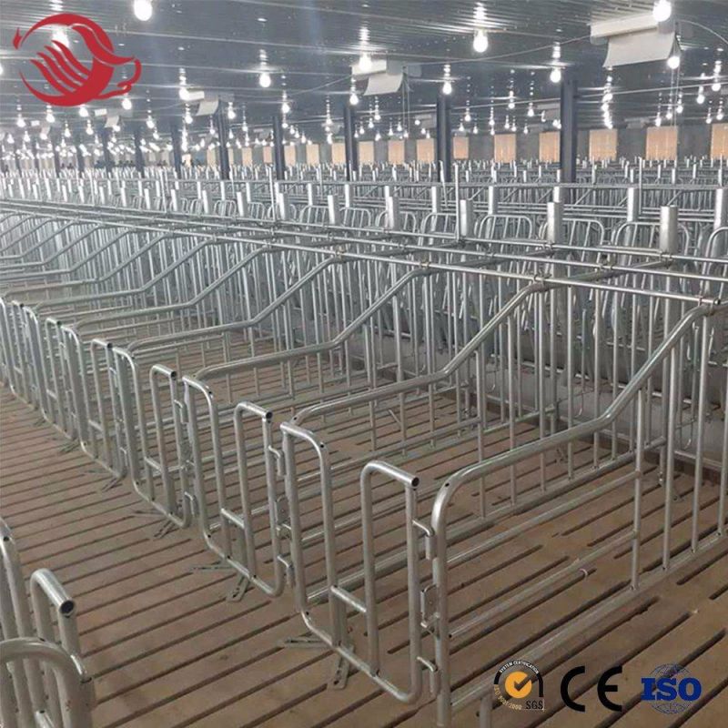 Whole Sale Hot Dipped Galvanizing Steel Pig Gestation Crate