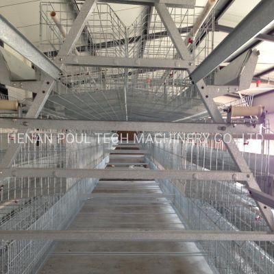 a Type Layer Cage Raising Equipment for 40000 Birds Layer Project