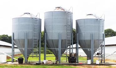 Steel Structure Agriculture Poultry Farm Chicken Feeder and Drinker