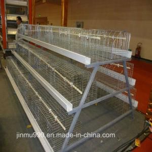 Poultry Feed Manufacturers H Type Layer Chicken Cage Farm Equipment for Chicken House