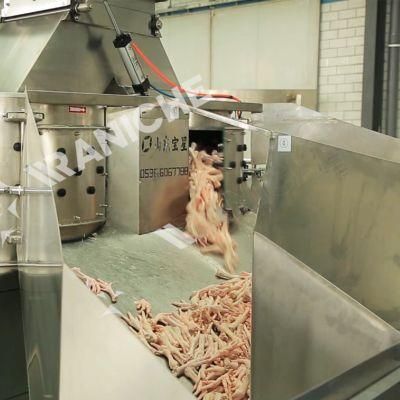 Raniche New Automatic Chicken Feet Processing Machine Chicken Paw Cleaning and Peeling Machine