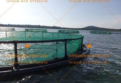 HDPE Circular Sea Floating Fish Farming Aquaculture Cage