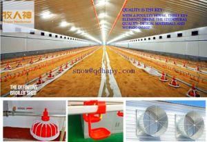 Automatic Machinery for Poultry House From China Manufacturer 2016