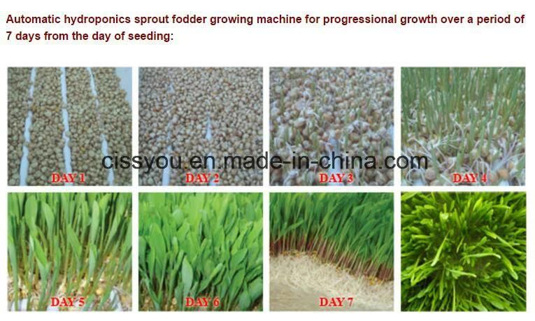 Hydroponic Cattle Sheep Horse Barley Fodder Grass Growing Machine