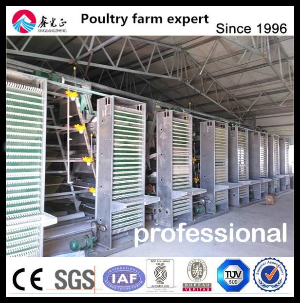 Steel Structure Chicken House with H Type Layer Cage