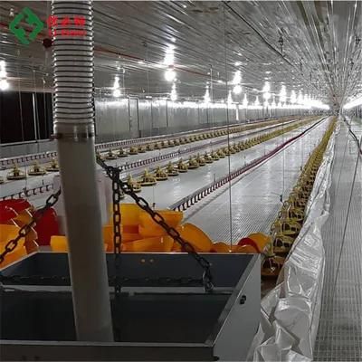 Silo and Hopper Chicken Farm Equipment Broiler and Breeder Farm House