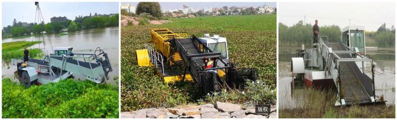 Brand New Designed Aquatic Water Hyacinth Weed Harvester in Palestine