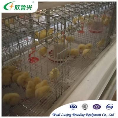 Conventional Layer Chicken Poultry Cage System 4/5/6/8 Tiers Laying Hen Cage Full Automatic Manure Cleaning System