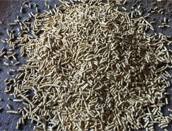 Flat Die Cattle Feed Pellet Machine for Sale