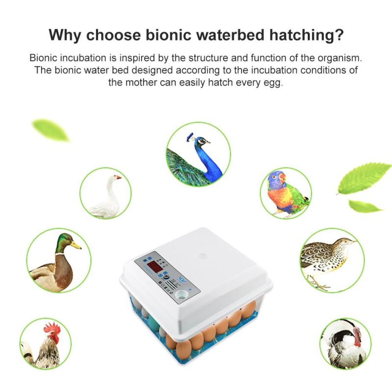 Egg Incubators Hatching Machine Hatchery Incubator Hatching for Birds