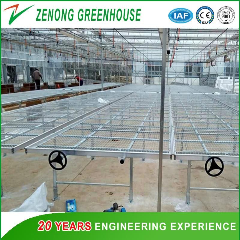 Seeding Nursery Equipment/Movable Bench Facility for Green House Seeding Cultivation