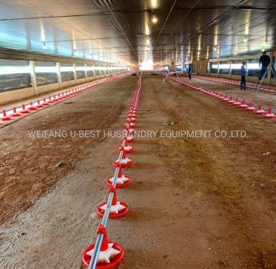 Poultry Farming Equipment for Chickens Broilers with Turnkey Service