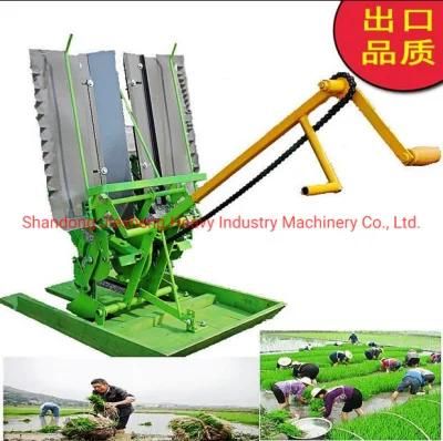 High Efficiency Small Hand-Held Rice Traansplanter Highly Adaptable Orderly Rice Transplanting Equipment