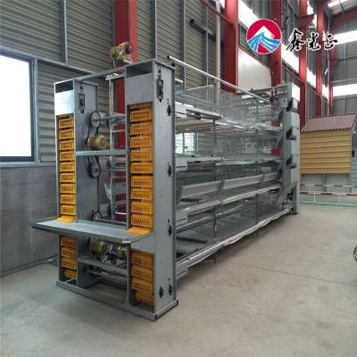 Advanced Poultry Cages with a Type Poultry Farm House for 4 Tiers Layer Poultry Cages