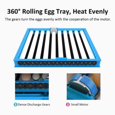 Big Capacity Quail Egg Incubator Incubator Machine