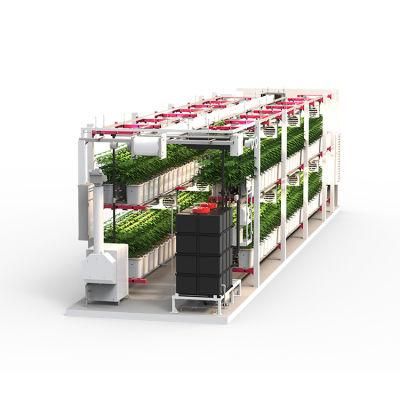 40 Foot Container Hydroponic Farm Greenhouse Agricultural Microgreen Growing System