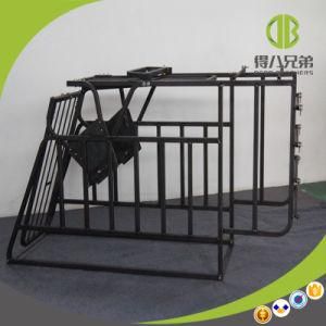 Pig Farm Breeding Equipment Individual Pig Free Access Gestation Stall