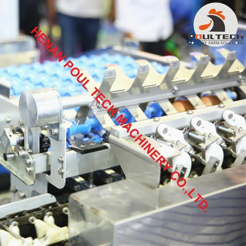 Egg Packing Machine with Capacity of 15000 Eggs Per Hour