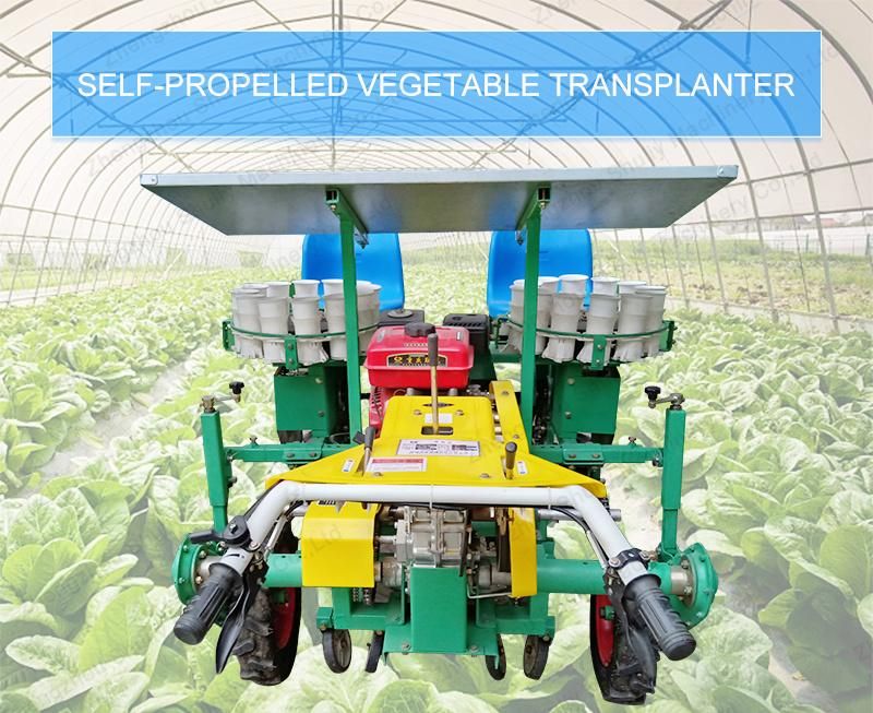 Hot Selling Seeders & Transplanters Vegetable Seedlings Transplanter