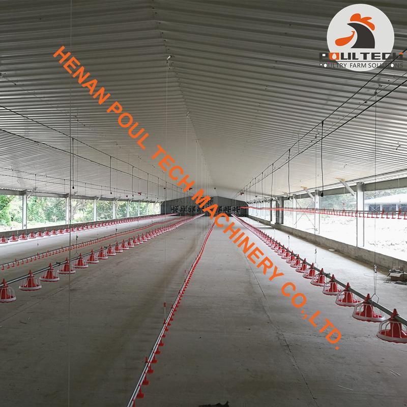 Costa Rica Broiler Chicken Floor Raising System