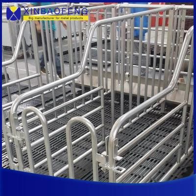 Pig Gestation Stall Pens Hot DIP Galvanized