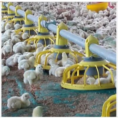 Automatic Modern Chicken House Farm Equipment System and Broiler/Breeder/Bird Pan Feeding System