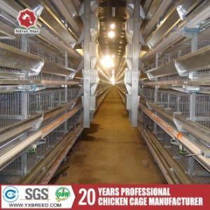 H Type 120 Birds Capacity Broiler Poultry Equipment in African Farm
