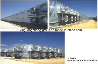 Double Floors of Steel Structure Chicken House